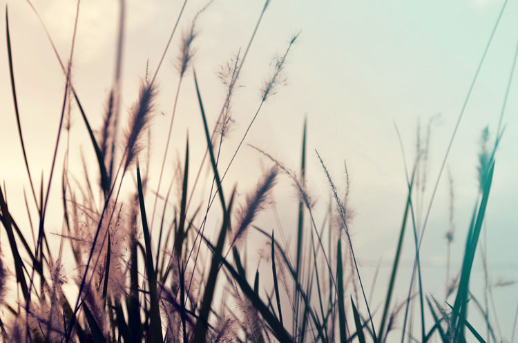 anyblogtublog3 anyblogtublog3